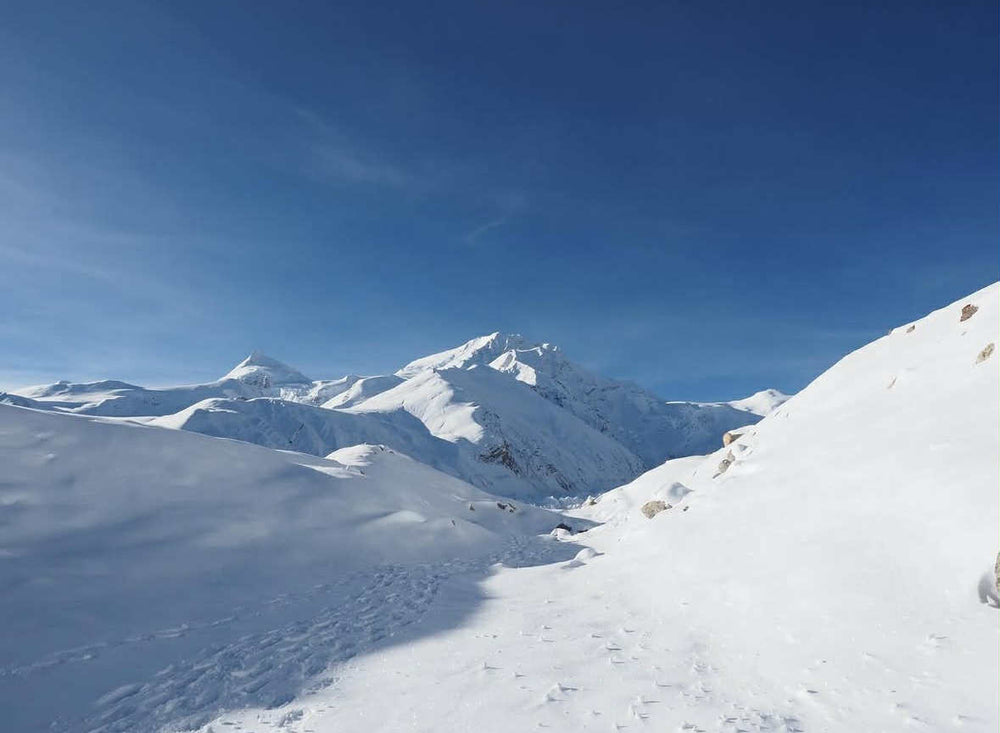 石川直樹 全14座登頂＆刊行記念トークイベント – artos Book Store